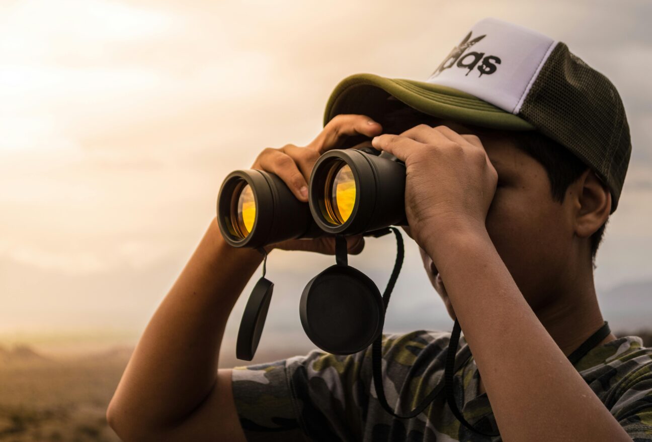 Best binoculars for Alaska Cruise