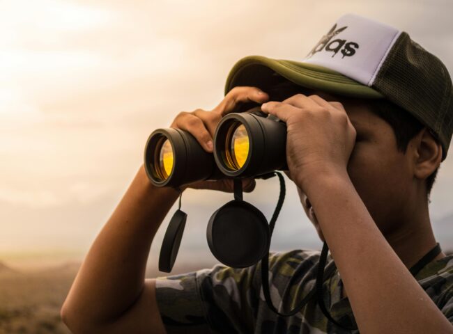 Best binoculars for Alaska Cruise